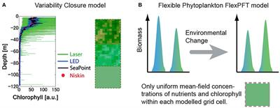 Micro-Scale Variability Impacts the Outcome of Competition Between Different Modeled Size Classes of Phytoplankton